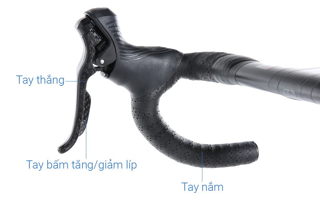 Xe Đạp Thể Thao Road Twitter Gravel V2 29 inch Size M