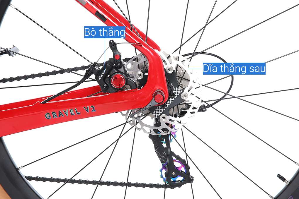 Xe Đạp Thể Thao Road Twitter Gravel V2 29 inch Size M