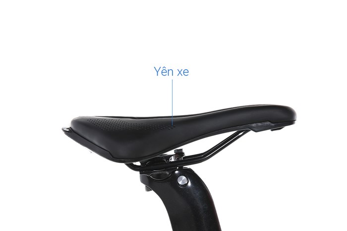 Xe Đạp Thể Thao Road Twitter Gravel V2 29 inch Size M