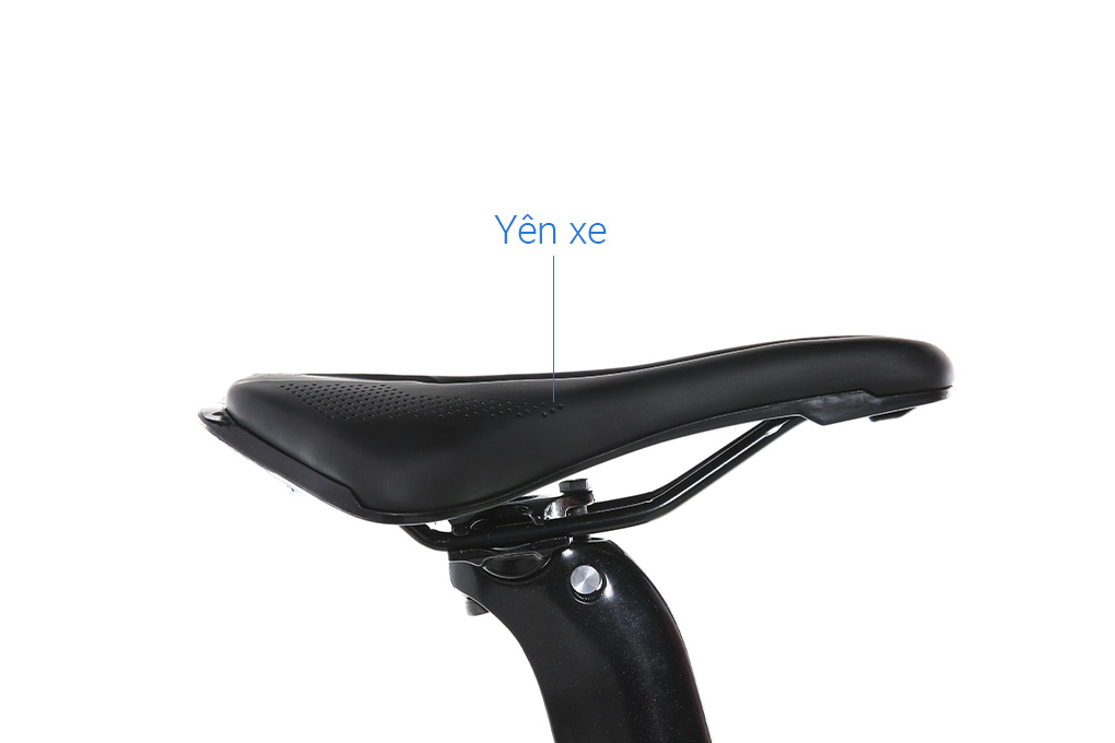 Xe Đạp Thể Thao Road Twitter Gravel V2 29 inch Size M