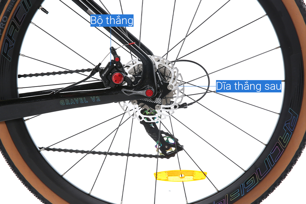 Xe Đạp Thể Thao Road Twitter Gravel V2 29 inch Size M
