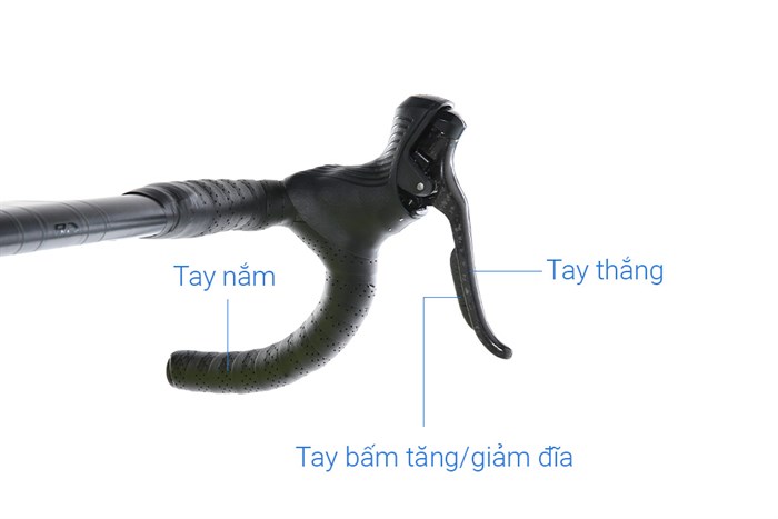 Xe Đạp Thể Thao Road Twitter Gravel V2 29 inch Size M