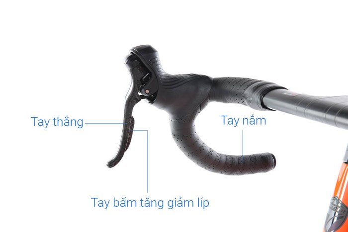 Xe Đạp Thể Thao Road Twitter Gravel V2 29 inch Size S Màu Cam