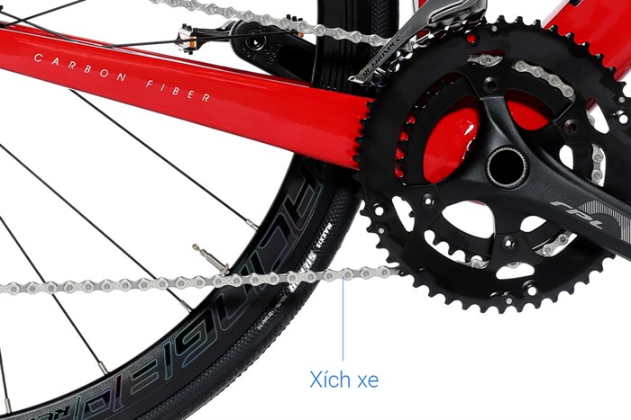 Xe Đạp Thể Thao Road Twitter R10 C Brake 29 inch Size L