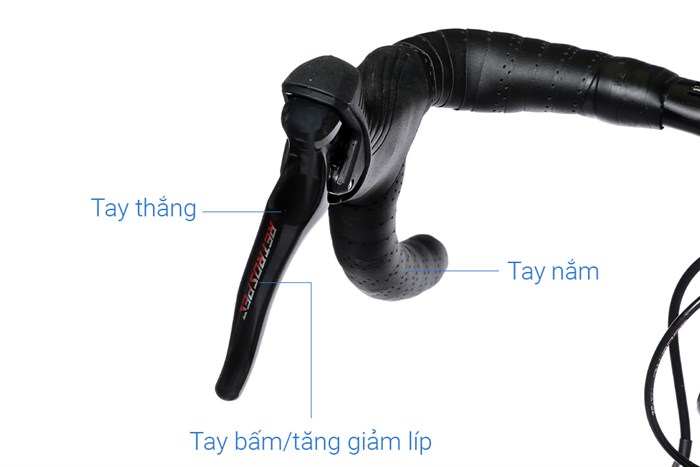 Xe Đạp Thể Thao Road Twitter R10 C Brake 29 inch Size L