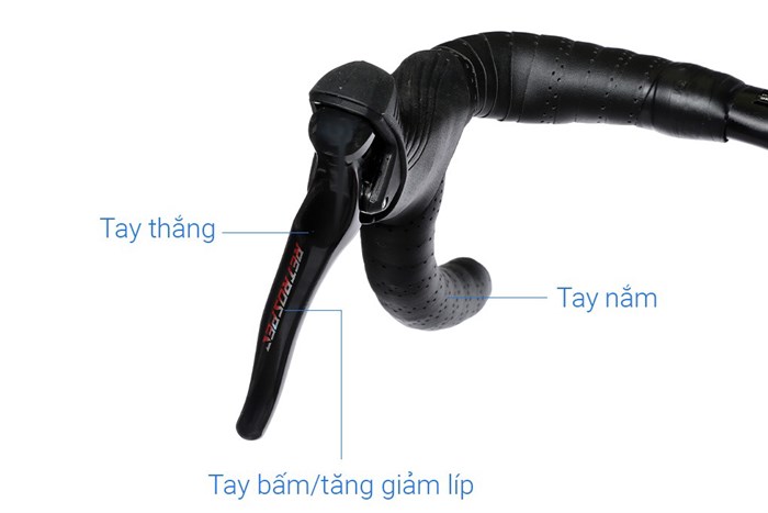 Xe Đạp Thể Thao Road Twitter R10 C Brake 29 inch Size M