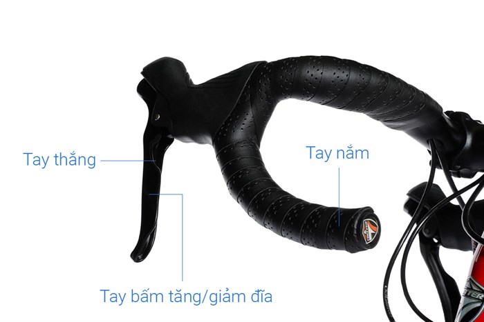 Xe Đạp Thể Thao Road Twitter R10 C Brake 29 inch Size M