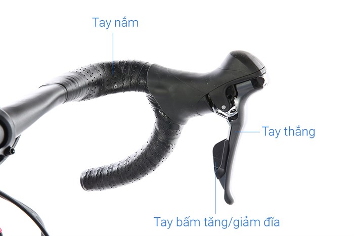 Xe Đạp Thể Thao Road Twitter Sniper 2.0 Disc 29 inch Size L