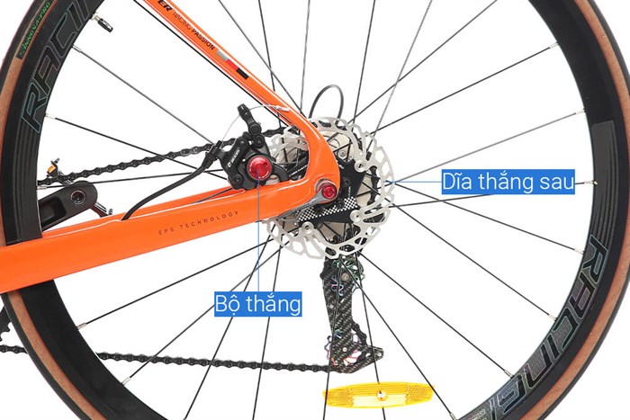 Xe Đạp Thể Thao Road Twitter Stealth Pro Dpb 29 inch Size M