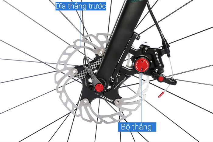 Xe Đạp Thể Thao Road Twitter Stealth Pro Dpb 29 inch Size M