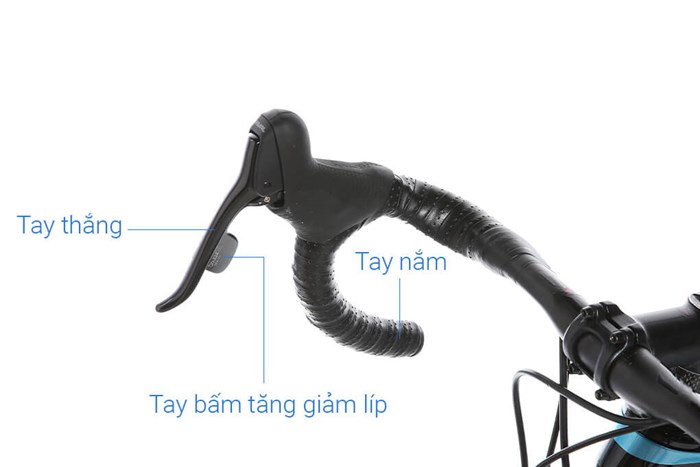 Xe Đạp Thể Thao Road Twitter T10 Pro C Brake Main 29 inch Size L Màu Xanh Dương