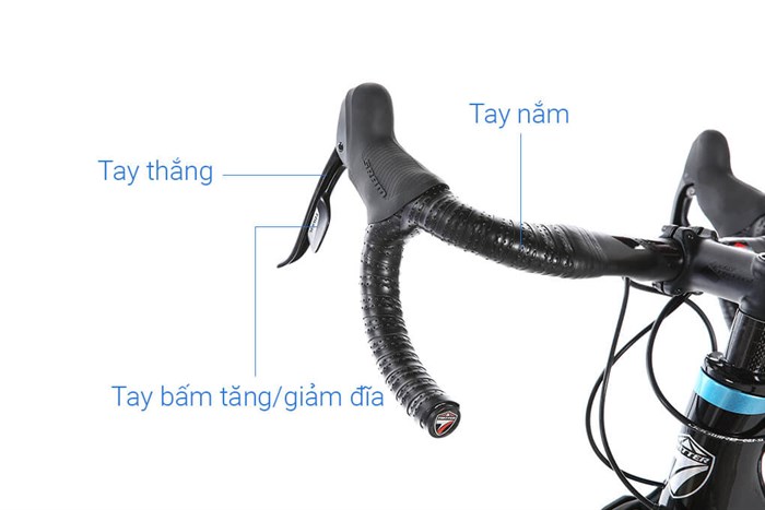 Xe Đạp Thể Thao Road Twitter T10 Pro C Brake Main 29 inch Size L Màu Xanh Dương