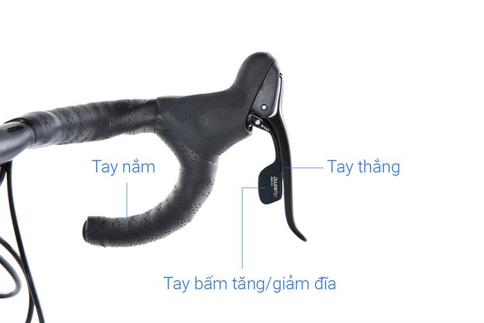 Xe Đạp Thể Thao Road Twitter T10 Pro C Brake Main 29 inch Size M Màu Xanh Dương