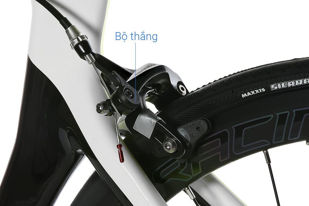 Xe Đạp Thể Thao Road Twitter T10 Pro C 29 inch Size L Màu Xám