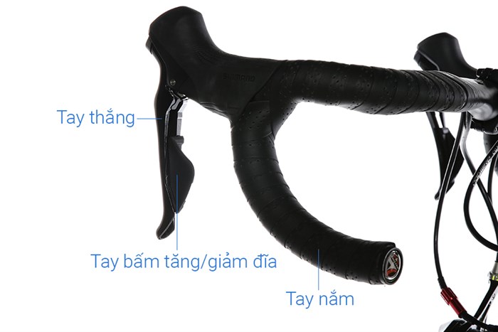 Xe Đạp Thể Thao Road Twitter T10 Pro C 29 inch Size L Màu Xám