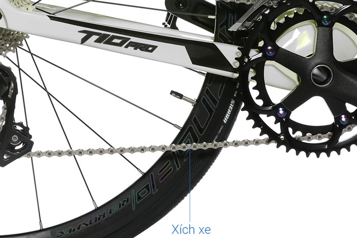 Xe Đạp Thể Thao Road Twitter T10 Pro C 29 inch Size L Màu Xám