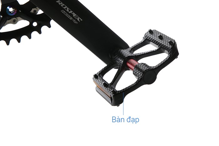 Xe Đạp Thể Thao Road Twitter T10 Pro C 29 inch Size M Màu Xám