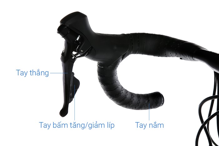 Xe Đạp Thể Thao Road Twitter T10 Pro C 29 inch Size M Màu Vàng