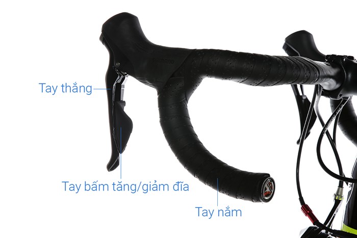 Xe Đạp Thể Thao Road Twitter T10 Pro C 29 inch Size M Màu Vàng