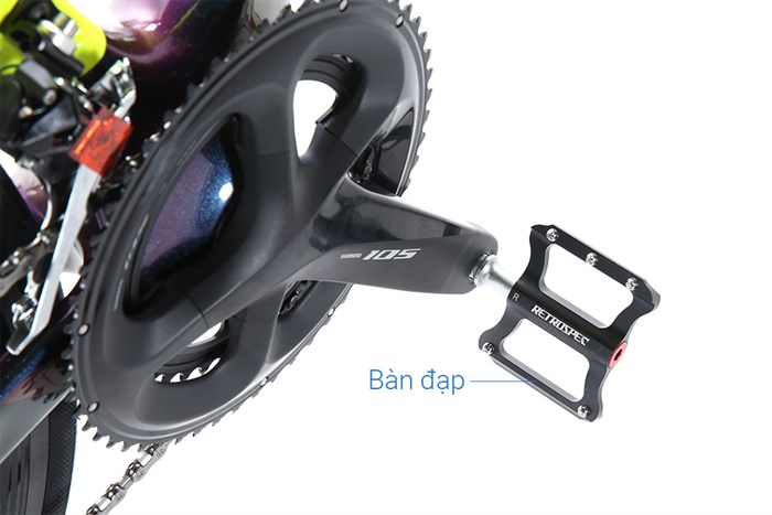 Xe Đạp Thể Thao Road Twitter T10 Pro HC-C 29 inch Size L