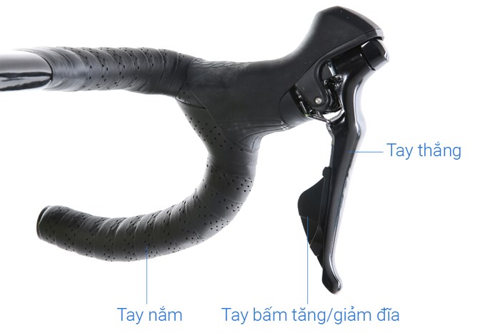 Xe Đạp Thể Thao Road Twitter T10 Pro HC-C 29 inch Size L