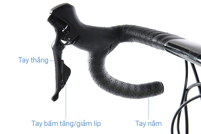 Xe Đạp Thể Thao Road Twitter T10 Pro HC-C 29 inch Size L