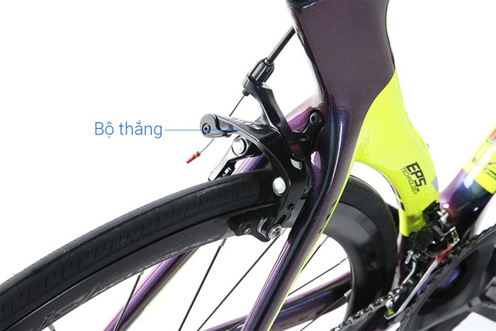 Xe Đạp Thể Thao Road Twitter T10 Pro HC-C 29 inch Size L