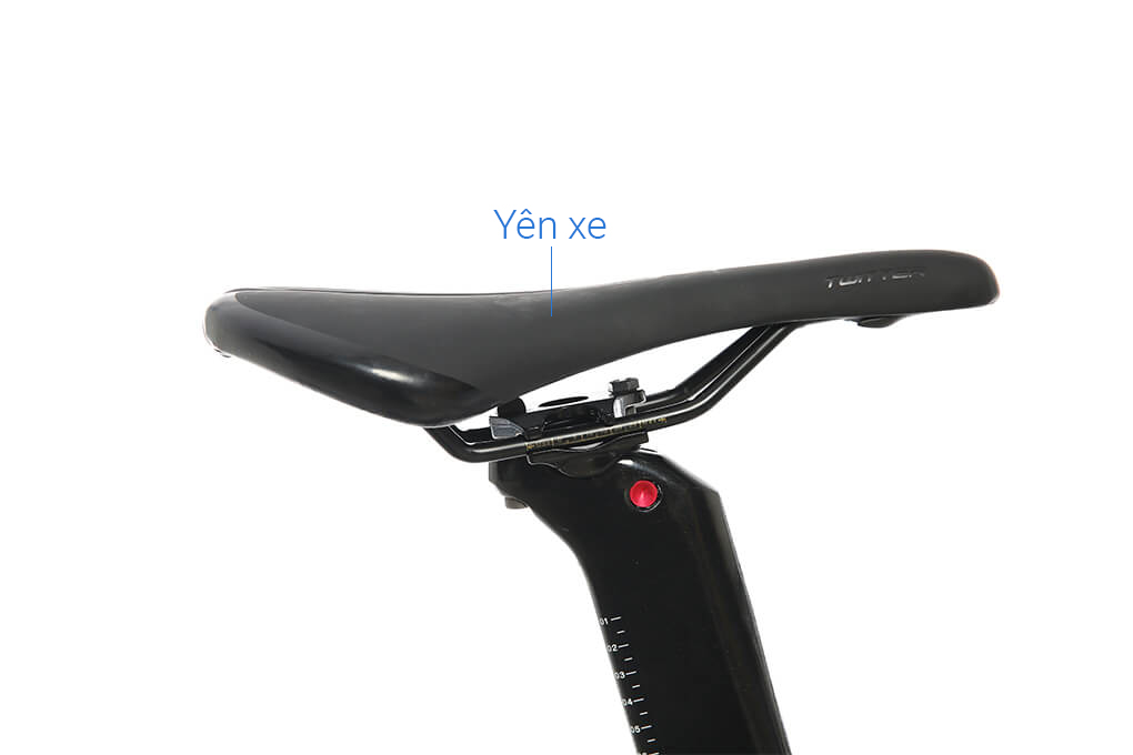 Xe Đạp Thể Thao Road Twitter T10 Pro HC-C 29 inch Size L - 9