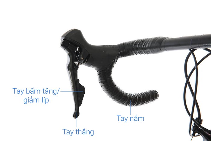 Xe Đạp Thể Thao Road Twitter T10 Pro HC-C 29 inch Size L