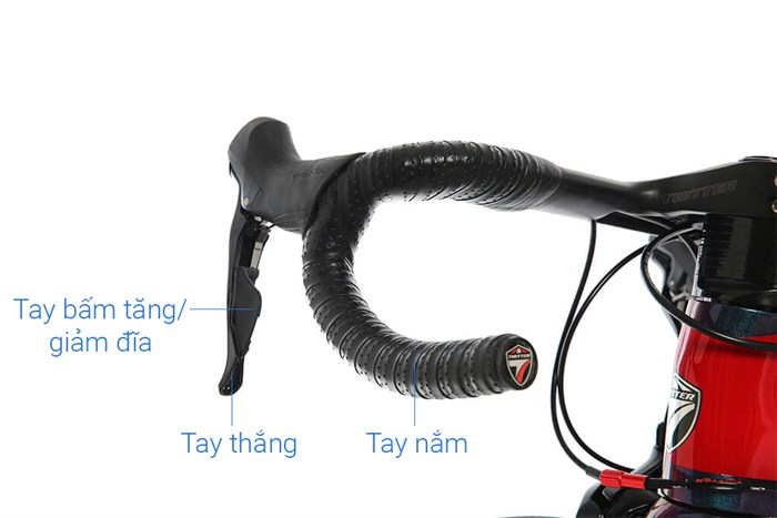 Xe Đạp Thể Thao Road Twitter T10 Pro HC-C 29 inch Size L