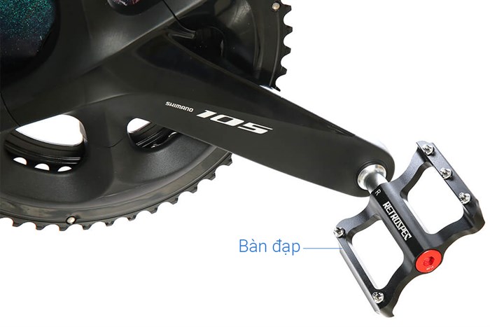 Xe Đạp Thể Thao Road Twitter T10 Pro HC-C 29 inch Size M