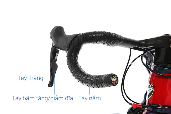 Xe Đạp Thể Thao Road Twitter T10 Pro HC-C 29 inch Size M