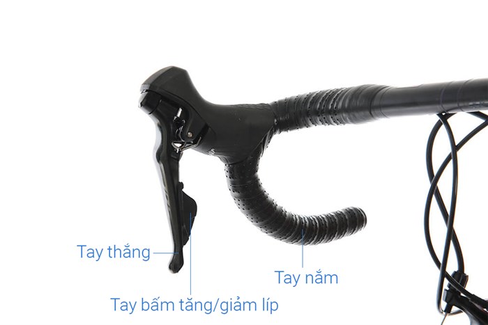 Xe Đạp Thể Thao Road Twitter T10 Pro HC-C 29 inch Size M