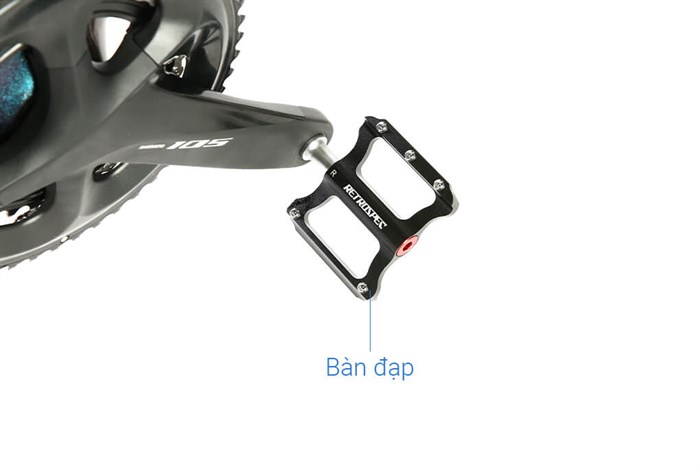 Xe Đạp Thể Thao Road Twitter T10 Pro HC-C 29 inch Size M