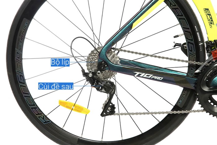 Xe Đạp Thể Thao Road Twitter T10 Pro HC-C 29 inch Size M