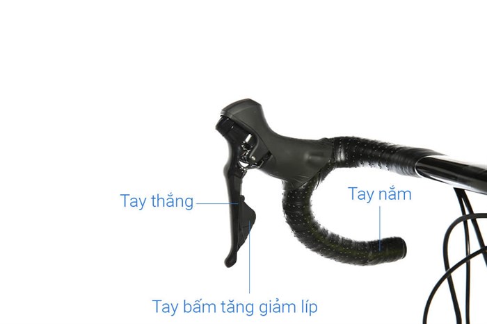 Xe Đạp Thể Thao Road Twitter T10 Pro HC-C 29 inch Size M