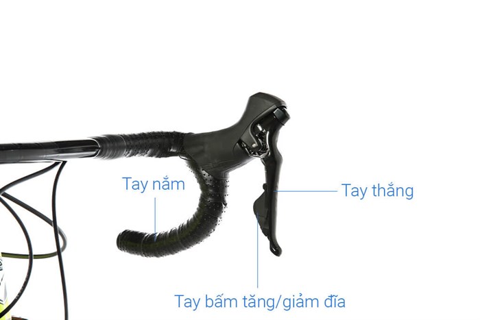 Xe Đạp Thể Thao Road Twitter T10 Pro HC-C 29 inch Size M