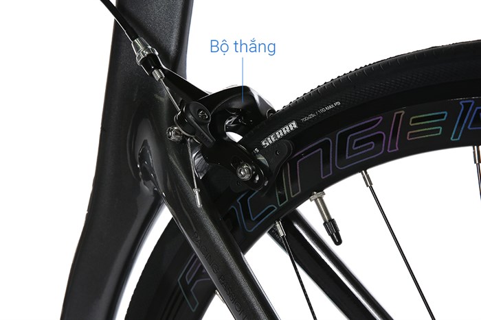 Xe Đạp Thể Thao Road Twitter Thunder C Brake 29 inch Size L Màu Xám