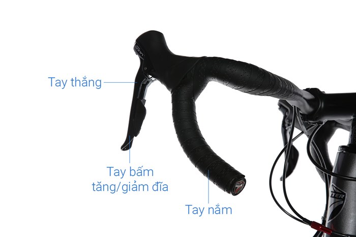 Xe Đạp Thể Thao Road Twitter Thunder C Brake 29 inch Size L Màu Xám