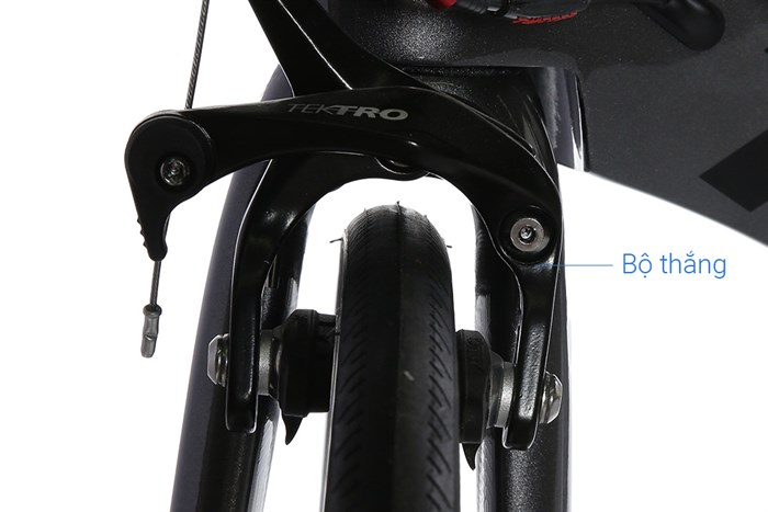 Xe Đạp Thể Thao Road Twitter Thunder C Brake 29 inch Size L Màu Xám