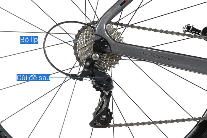 Xe Đạp Thể Thao Road Twitter Thunder C Brake 29 inch Size M Màu Xám