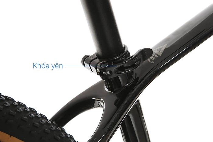 Xe Đạp Địa Hình MTB Twitter Leopard Pro Main 29 inch Size S Màu Đen