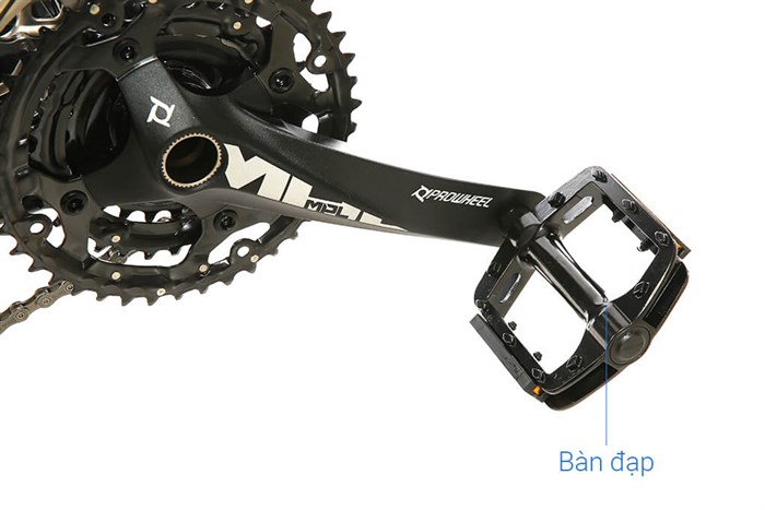 Xe Đạp Địa Hình MTB Twitter Leopard Pro Main 29 inch Size S Màu Đen