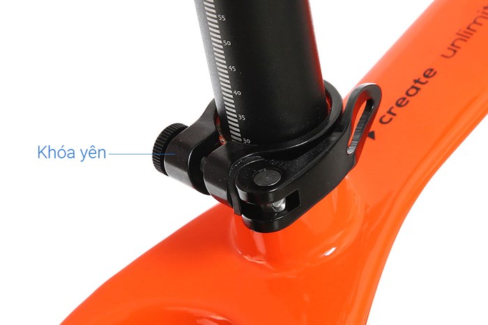 Xe Đạp Địa Hình MTB Twitter Warrior Pro Main 29 inch Size S