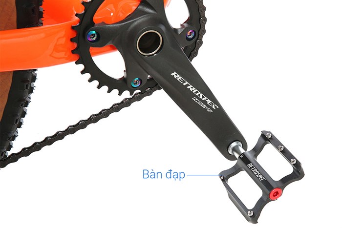 Xe Đạp Địa Hình MTB Twitter Warrior Pro Main 29 inch Size S