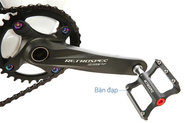 Xe Đạp Địa Hình MTB Twitter Warrior Pro Main 29 inch Size S