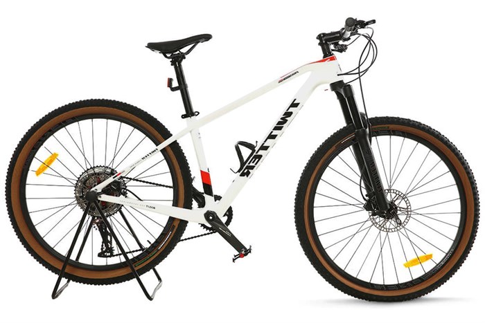 Xe Đạp Địa Hình MTB Twitter Warrior Pro Main 29 inch Size S