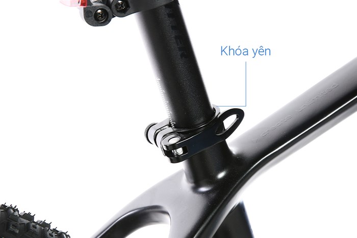 Xe Đạp Địa Hình MTB Twitter Warrior Pro Main 29 inch Size S