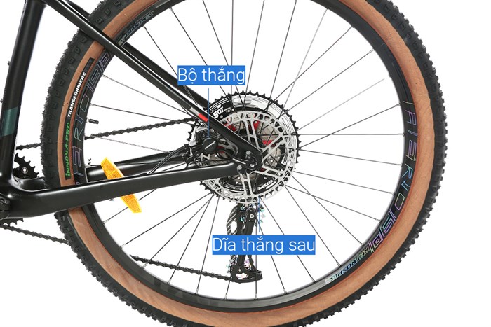 Xe Đạp Địa Hình MTB Twitter Warrior Pro Main 29 inch Size S