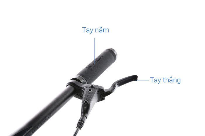 Xe Đạp Địa Hình MTB Twitter Warrior Pro Main 29 inch Size S